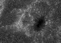 Image of AR 10880 (Ca II H)