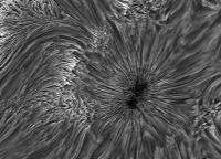 Image of AR 10880 (H-alpha)