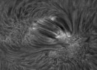 Image of AR 10882 (H-alpha)