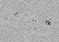 Image of AR 10882 (Red cont.)