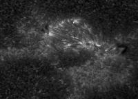 Image of AR 10882 (Ca II H)