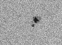 Image of AR 10880 (Blue cont.)