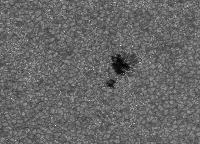 Image of AR 10880 (G Band)