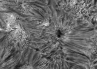 Image of AR 10880 (H-alpha)