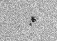 Image of AR 10880 (Red cont.)