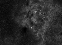 Image of AR 10897 (Ca II H)