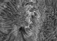 Image of AR 10897 (H-alpha)