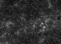 Image of AR 10897 (Ca II H)