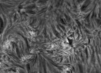 Image of AR 10897 (H-alpha)