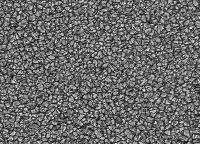 Image of Quiet Sun (Blue cont.)