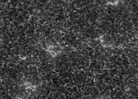 Image of Quiet Sun (Ca II H)