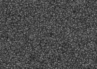 Image of Quiet Sun (G Band)