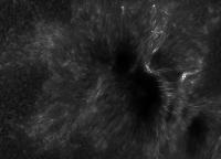 Image of AR 10898 (Ca II H)