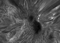 Image of AR 10898 (H-alpha)