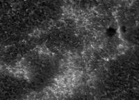 Image of AR 10899 (Ca II H)