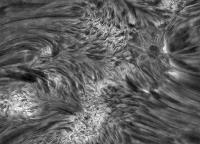 Image of AR 10899 (H-alpha)