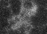 Image of AR 10899 (Ca II H)