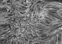 Image of AR 10899 (H-alpha)