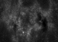 Image of AR 10901 (Ca II H)