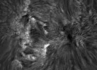 Image of AR 10901 (H-alpha)