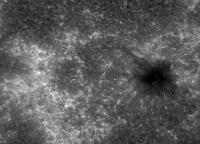 Image of AR 10901 (Ca II H)