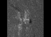 Image of AR 10908 (H-alpha)