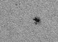 Image of AR 10910 (Blue cont.)