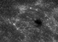 Image of AR 10910 (Ca II H)