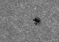 Image of AR 10910 (G Band)