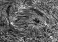 Image of AR 10910 (H-alpha)