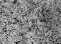 Image of Quiet Sun (H-alpha)