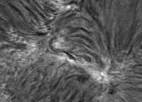 Image of AR 10955 (H-alpha)