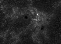 Image of AR 10955 (Ca II H)