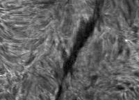 Image of Filament (H-alpha)