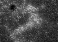 Image of AR 10966 (Ca II H)