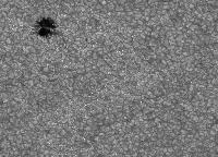 Image of AR 10966 (G Band)