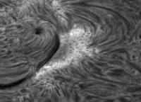 Image of AR 10966 (H-alpha)