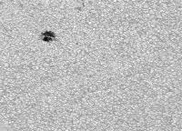 Image of AR 10966 (Red cont.)