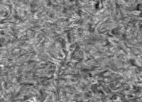 Image of Quiet sun (H-alpha)