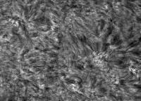 Image of Quiet sun (H-alpha)