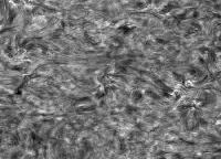 Image of Quiet sun (H-alpha)